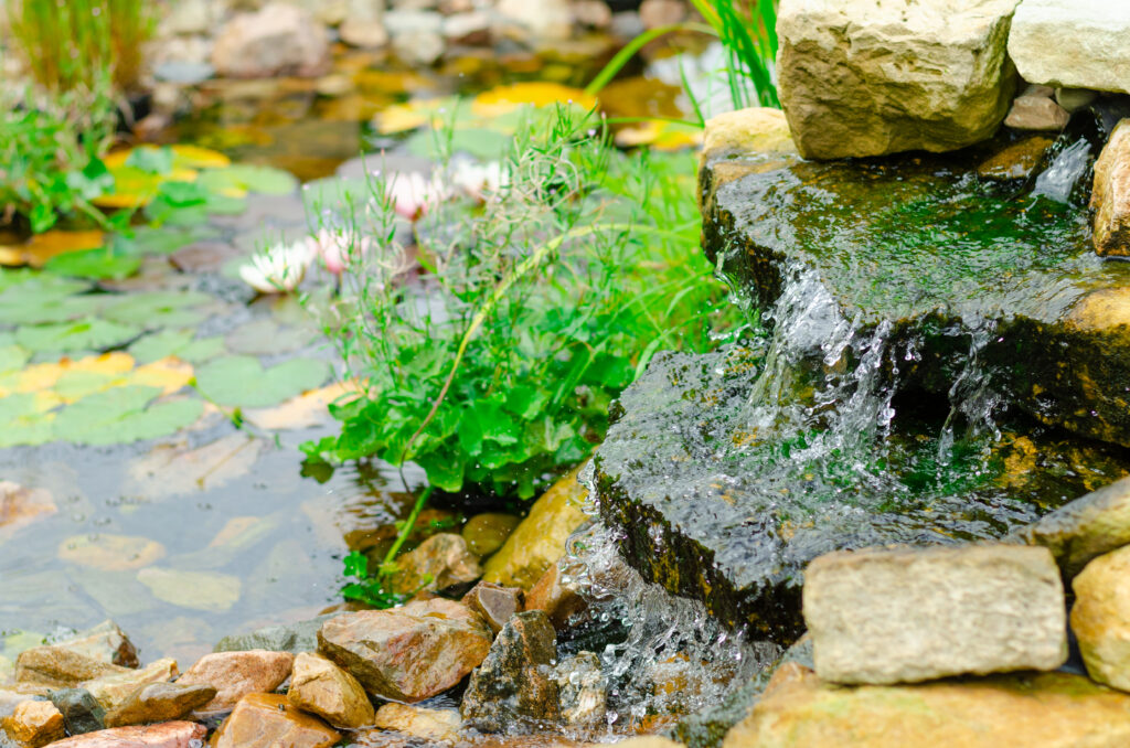 Greenspot hovenier hoofddorp waterrijke tuin